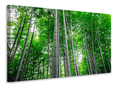 canvas-print-bamboo-forest
