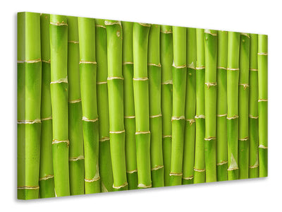 canvas-print-bamboo-wall