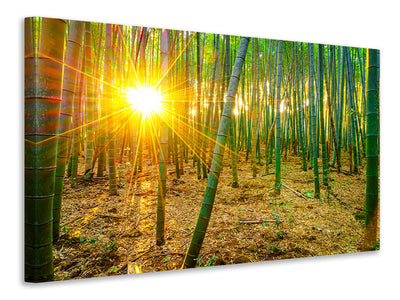 canvas-print-bamboos