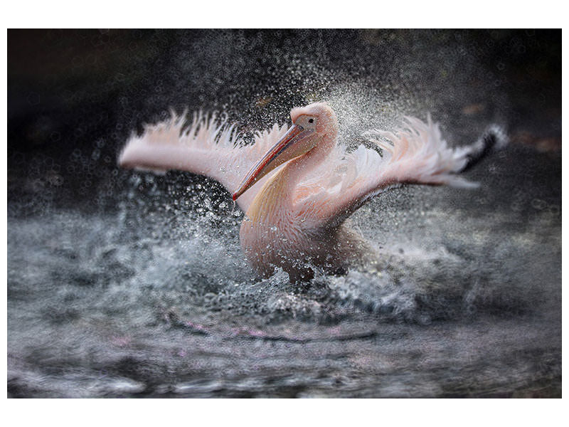 canvas-print-bathing-fun