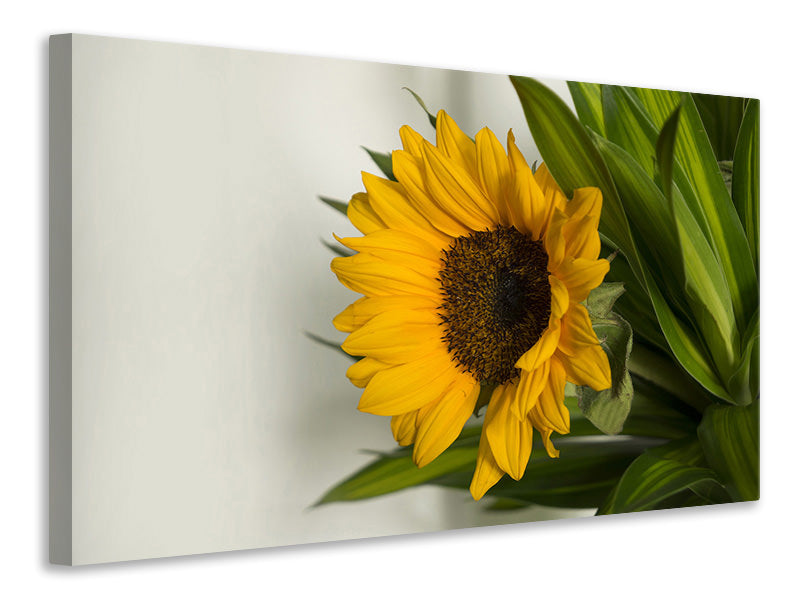canvas-print-beautiful-sunflower