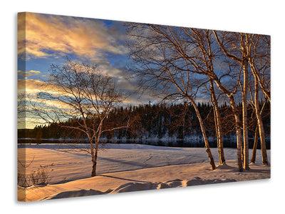 canvas-print-birches-in-the-winter