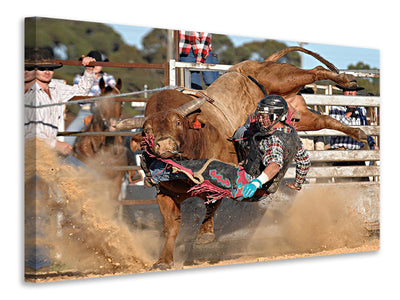 canvas-print-bull-ride