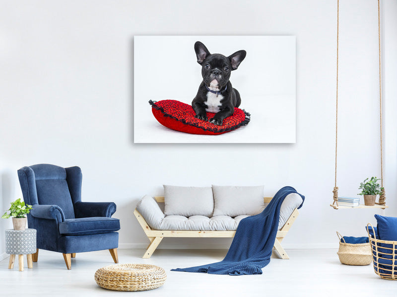 canvas-print-bulldog-to-fall-in-love