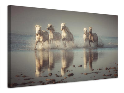 canvas-print-camargue-horses-x