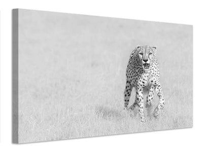 canvas-print-cheetah-x