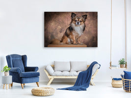 canvas-print-chihuahua-portrait