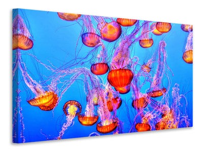 canvas-print-colorful-jellyfish