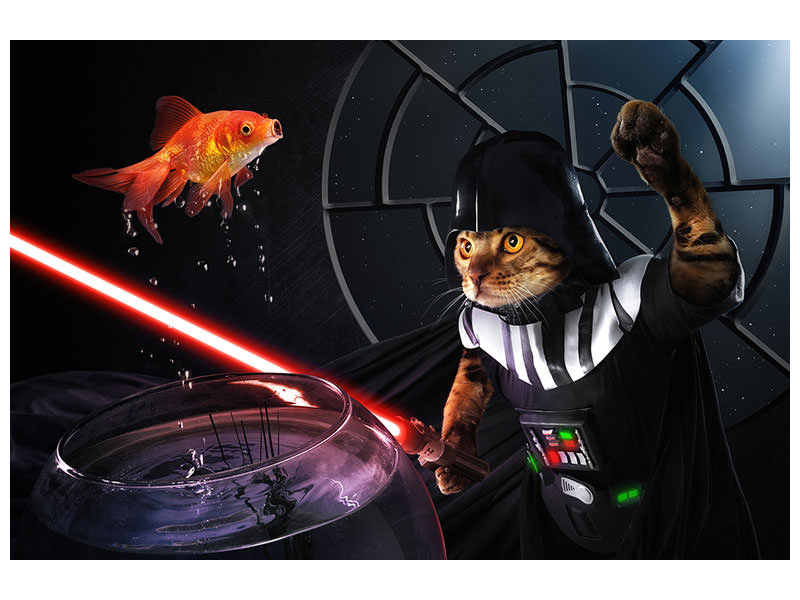 canvas-print-darth-sushi