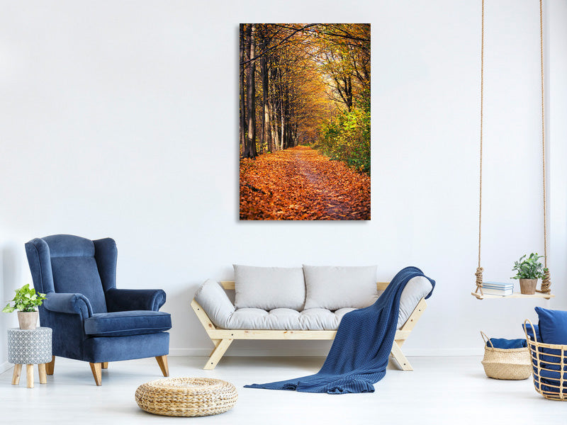 canvas-print-deciduous-forest-in-autumn-light