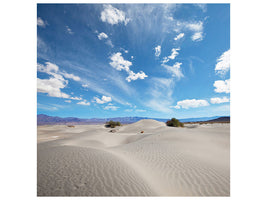 canvas-print-desert-landscape