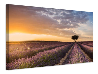 canvas-print-destination-lavender-x