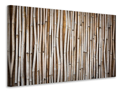 canvas-print-dried-bamboos