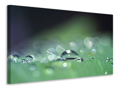 canvas-print-drops-of-water-in-xxl