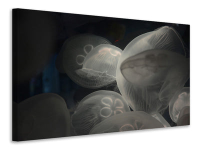 canvas-print-eerie-jellyfish