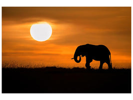 canvas-print-elephant-at-dawn-x