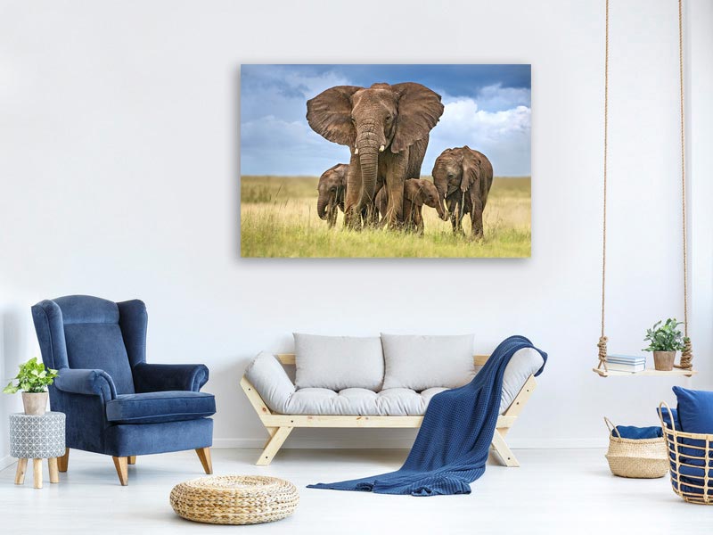 canvas-print-elephant-mom-protecting-her-calves-x