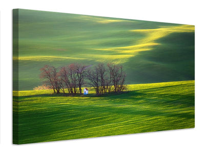 canvas-print-fields-x