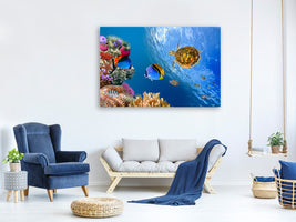 canvas-print-fish-in-the-water