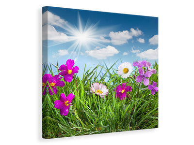 canvas-print-flowering-meadow