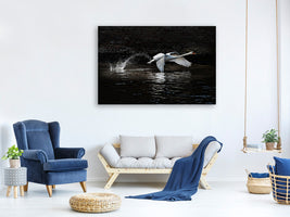canvas-print-flying-swan