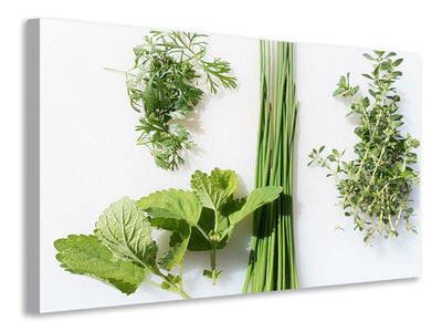 canvas-print-fresh-herbs