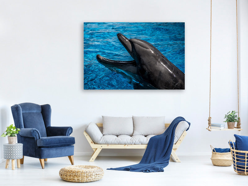 canvas-print-friendly-dolphin
