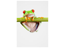 canvas-print-frog-acrobatics