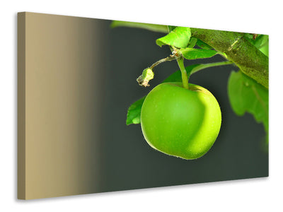 canvas-print-green-apple