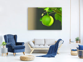 canvas-print-green-apple
