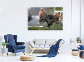 canvas-print-in-love-with-kitten
