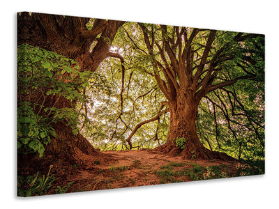 canvas-print-in-the-dense-forest