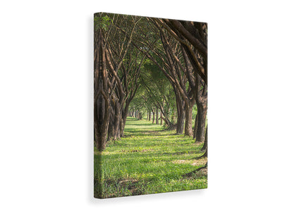 canvas-print-in-the-forest