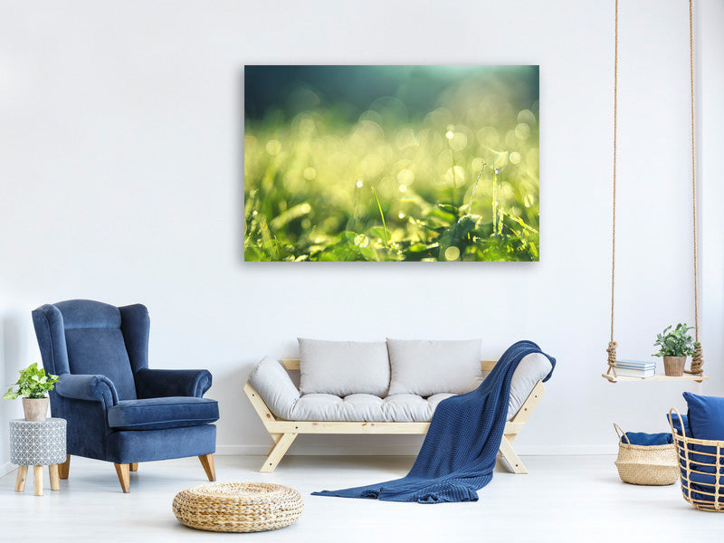 canvas-print-in-the-meadow