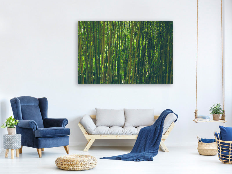 canvas-print-in-the-middle-of-the-bamboo