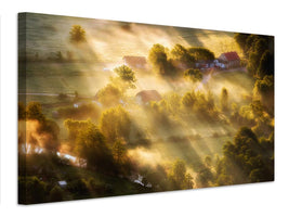 canvas-print-in-the-morning-sun-x