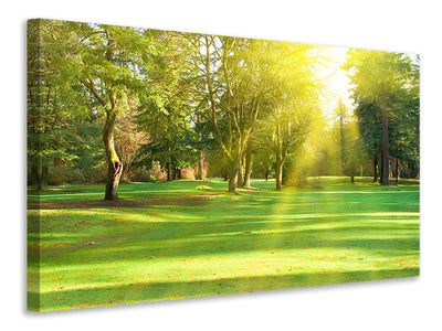 canvas-print-in-the-park