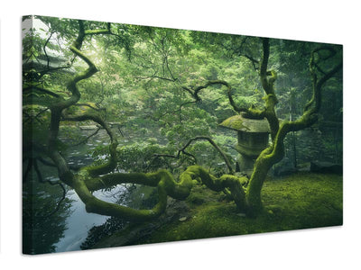 canvas-print-japanese-tree-x