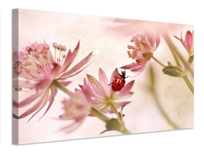 canvas-print-ladybird-and-pink-flowers-x