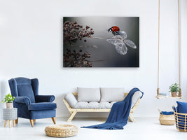 canvas-print-ladybird-on-hydrangea