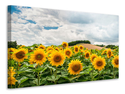 canvas-print-landscape-with-sunflowers