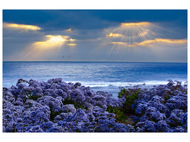canvas-print-lavender-and-sea
