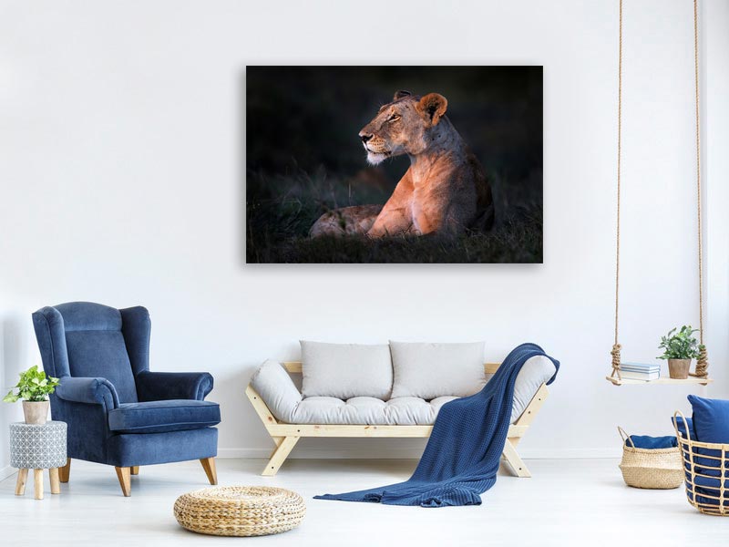 canvas-print-lone-lioness-x