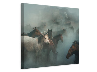 canvas-print-lost-horses-x