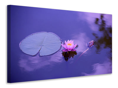 canvas-print-lotus-flower