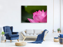canvas-print-marko-lotus-in-pink