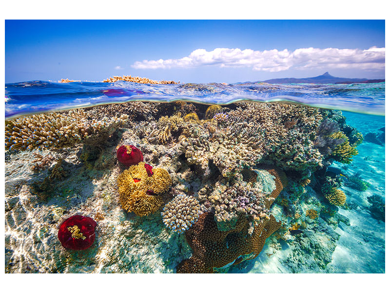 canvas-print-mayotte-the-reef