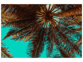 canvas-print-my-place-under-the-palm-trees