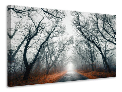 canvas-print-mysterious-mood-in-the-forest
