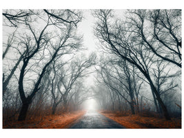 canvas-print-mysterious-mood-in-the-forest